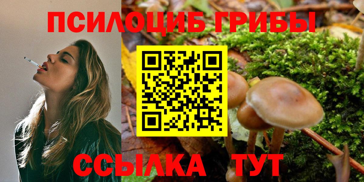 Псилоцибиновые грибы мухоморы Нижний Тагил